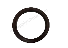 Crankshaft rear oil seal assembly — BYD BYD Destroyer 05 — OE 472QA-1002400