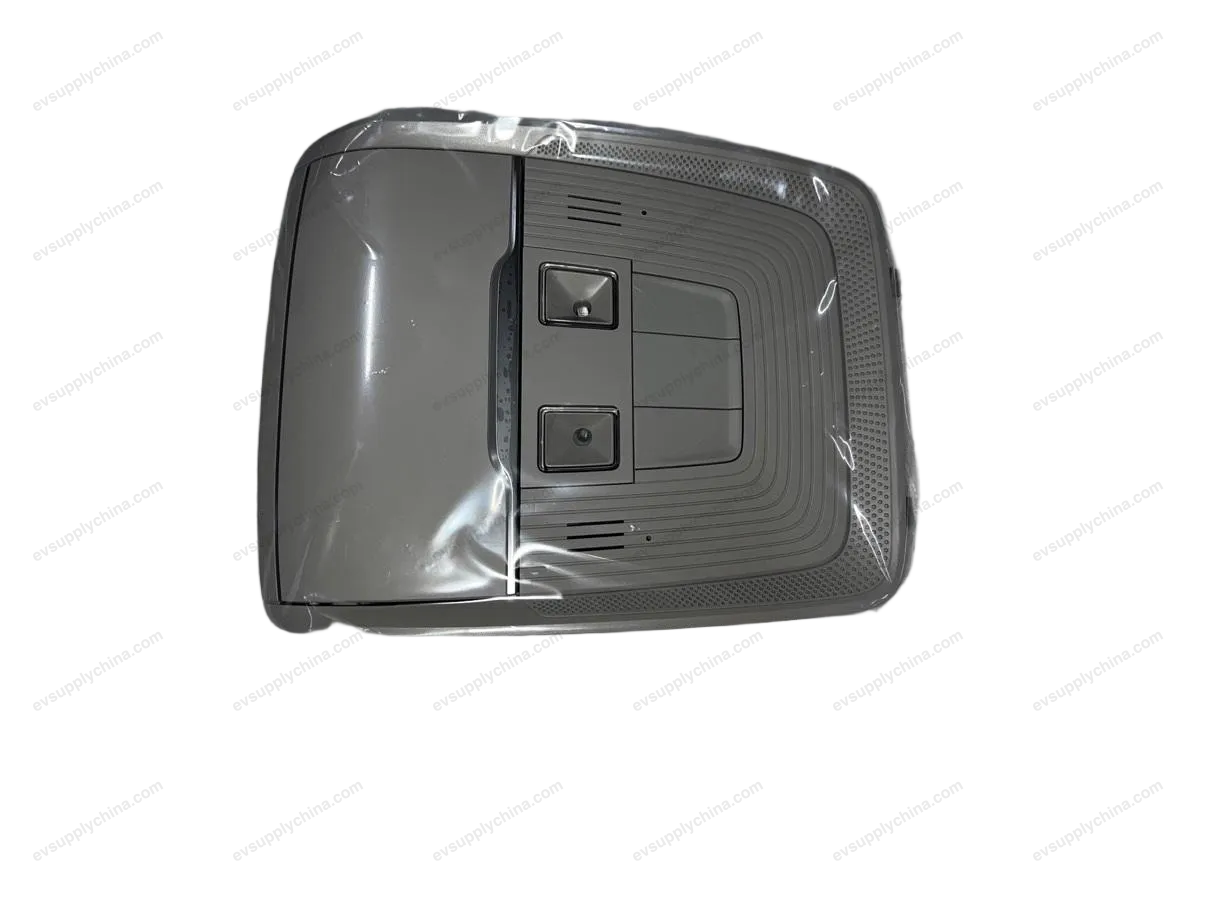 front interior light — BYD BYD Destroyer 05 — OE HAD-4123010L-D1DJ