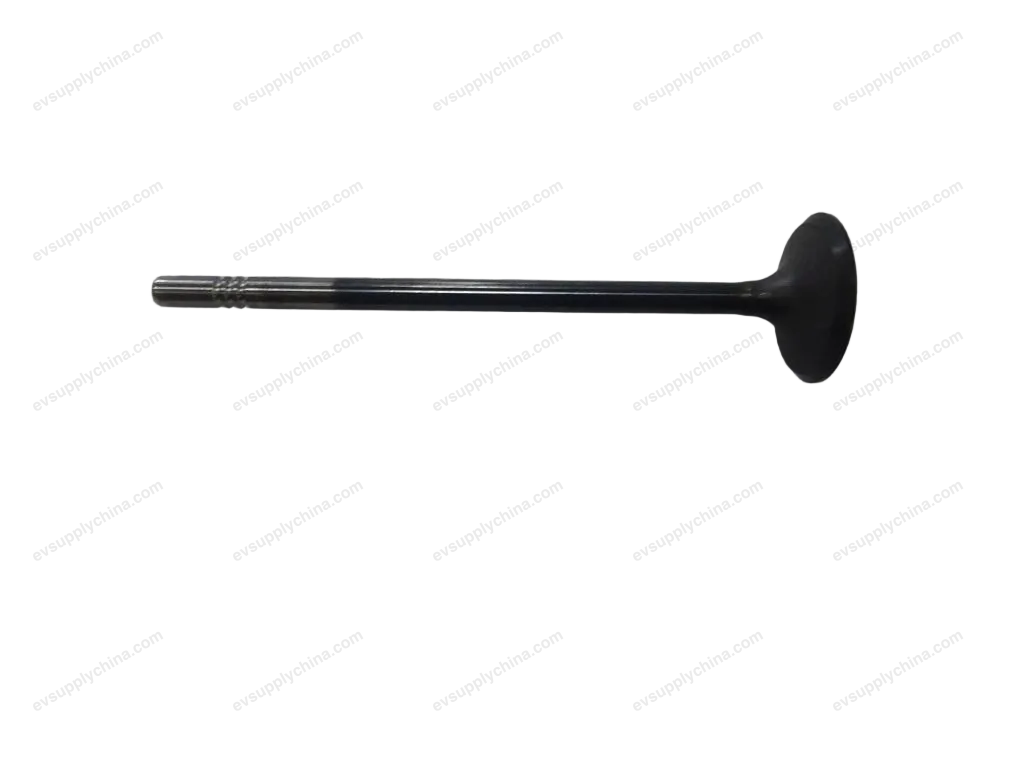 intake valve — BYD BYD Destroyer 05 — OE 472QA-1003101