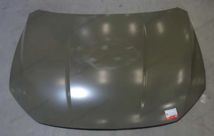 Hood — BYD BYD Qin EV — OE HDH-8402010/70