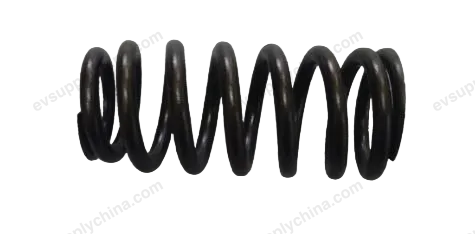 Valve springs — BYD BYD Qin L DM-i — OE 12798658-00, 472QA-1003103