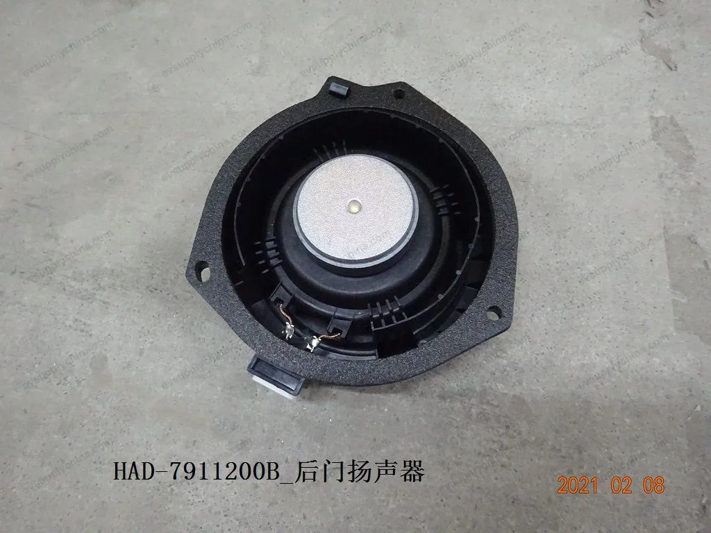 Rear door speakers — BYD BYD Qin Plus DM-i (Gen 2) — OE 12615917-00, HAD-7911200B