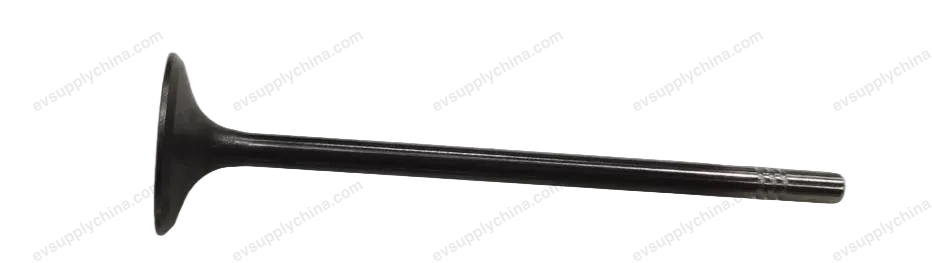Intake valve — BYD BYD Seal 07 DM-i — OE 14305114-00, 472QC-1003101