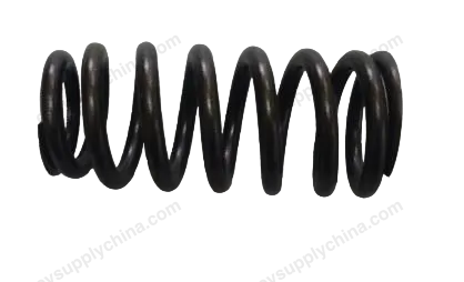 Valve springs — BYD BYD Seal 07 DM-i — OE 12798658-00, 472QA-1003103
