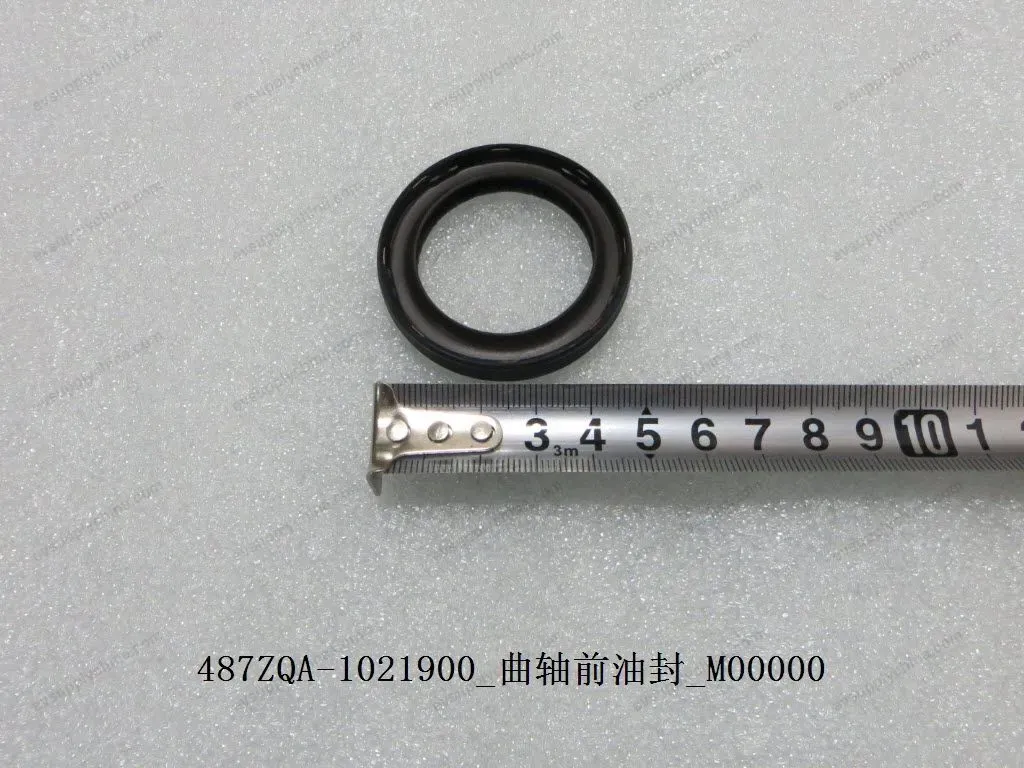 Crankshaft front oil seal — BYD BYD Sealion 05 DM-i — OE 10936675-00, 487ZQA-1021900