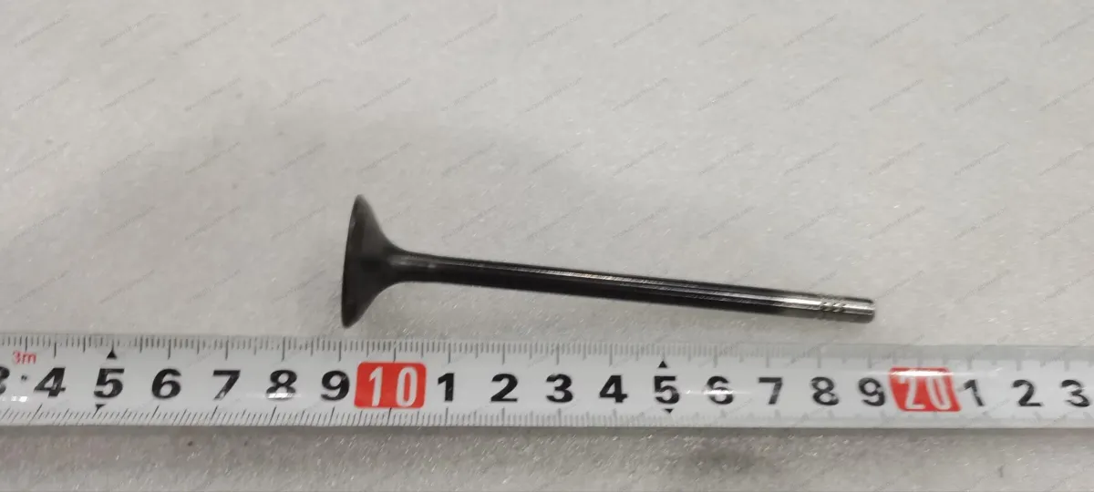 Exhaust valve — BYD BYD Sealion 05 DM-i — OE 14305054-00, 472QC-1003102