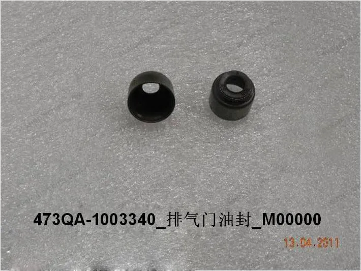 Exhaust valve oil seal — BYD BYD Sealion 05 DM-i — OE 10149466-00, 473QA-1003340