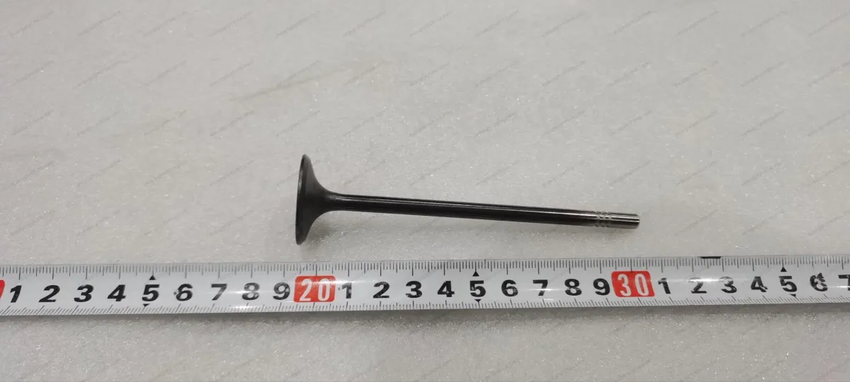 Intake valve — BYD BYD Sealion 05 DM-i — OE 14305114-00, 472QC-1003101