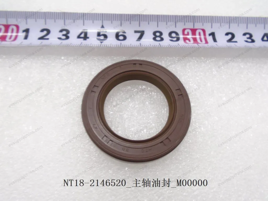 Spindle oil seal — BYD BYD Sealion 05 DM-i — OE 12249494-00, NT18-2146521