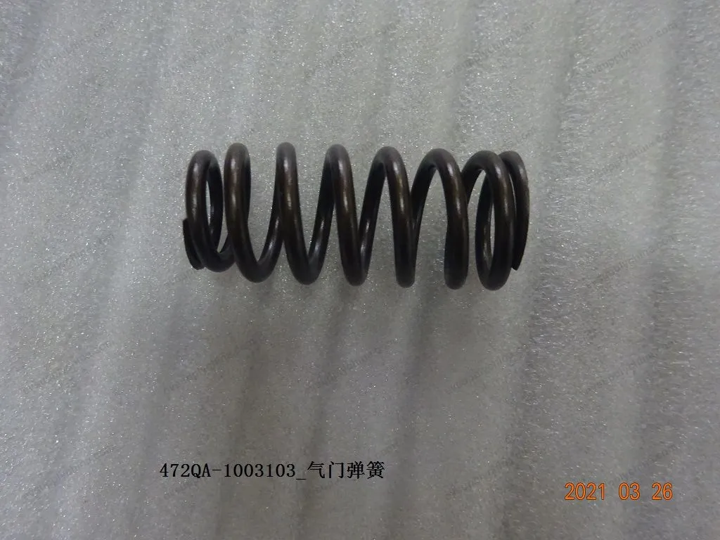 Valve spring — BYD BYD Sealion 05 DM-i — OE 12798658-00, 472QA-1003103