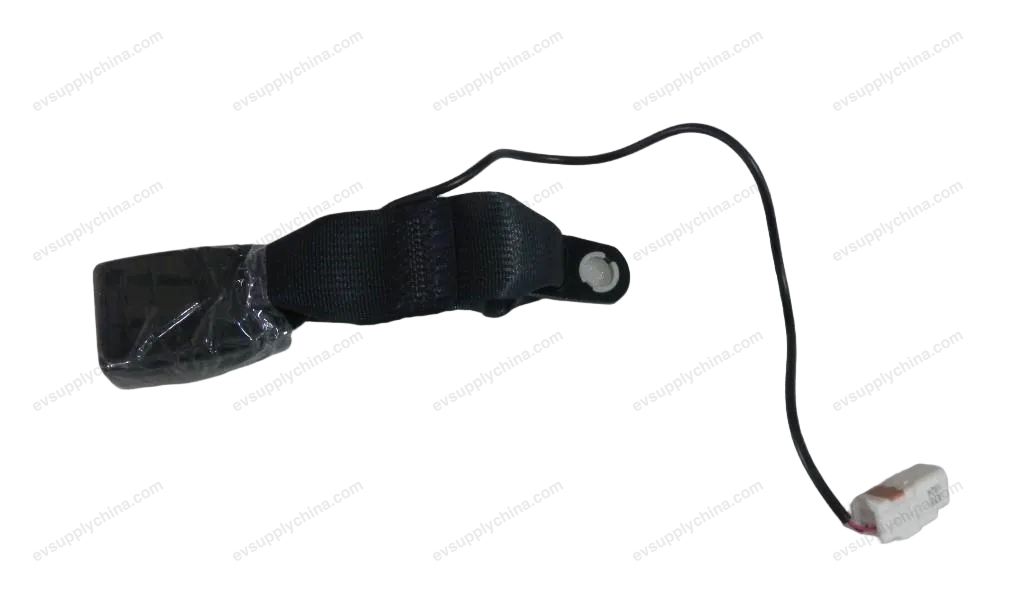 Middle row center seat belt buckle assembly — BYD BYD Tang EV — OE 12437172-00, STF-5813080