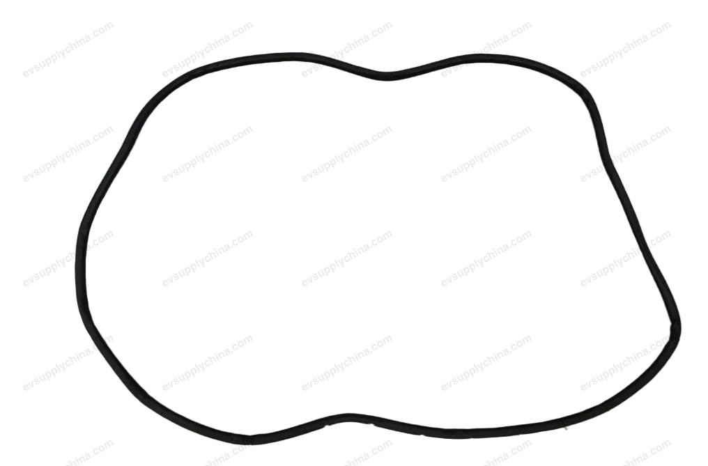 Right rear door sealing strip — BYD BYD Tang EV — OE 12330022-00, ST-6207112A