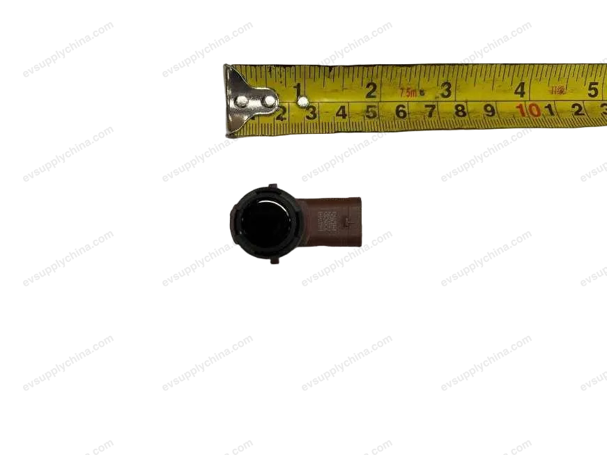 Small Peek - Black Magic Domain — BYD Denza D9 — OE 13658279-00, HA2E-3603300G-00AA1